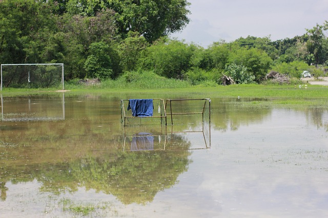 莫斯克拉：人们梦想赢得欧冠是正常的，但现在是11月赛季还长