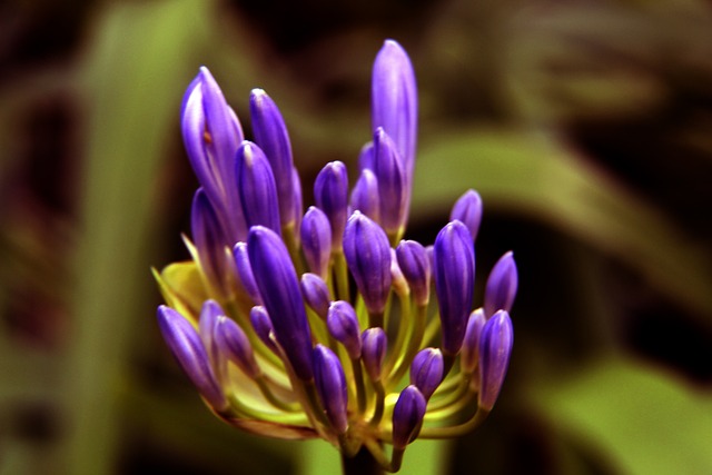 足协评议：成都蓉城胡荷韬进球被吹是误判，点球没判是错误