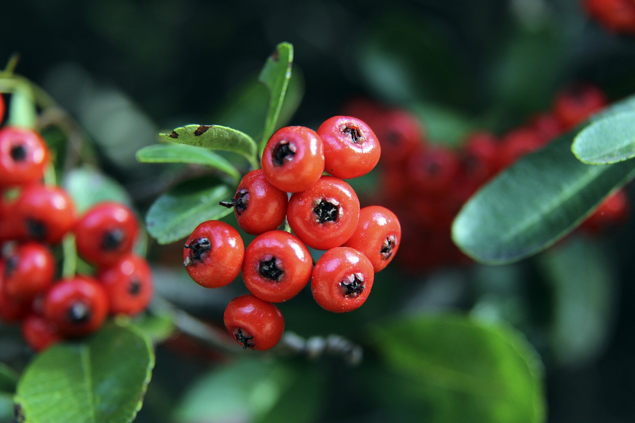 淮超小课堂开课了，九子夺嫡，你最希望谁夺冠
