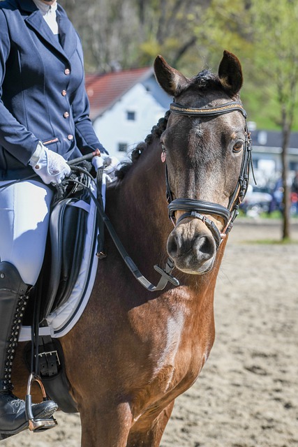 国外亚洲足球博主：王钰栋可能会加盟德乙俱乐部达姆施塔特
